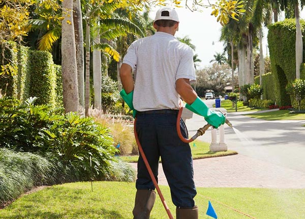 About Dimmitt TX Pest Control